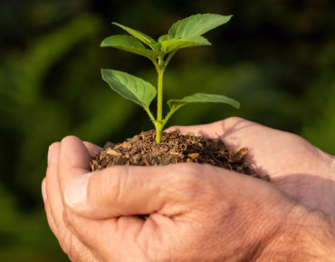 Suministros Agrícolas - Agustín López de Coca - Servicios 13