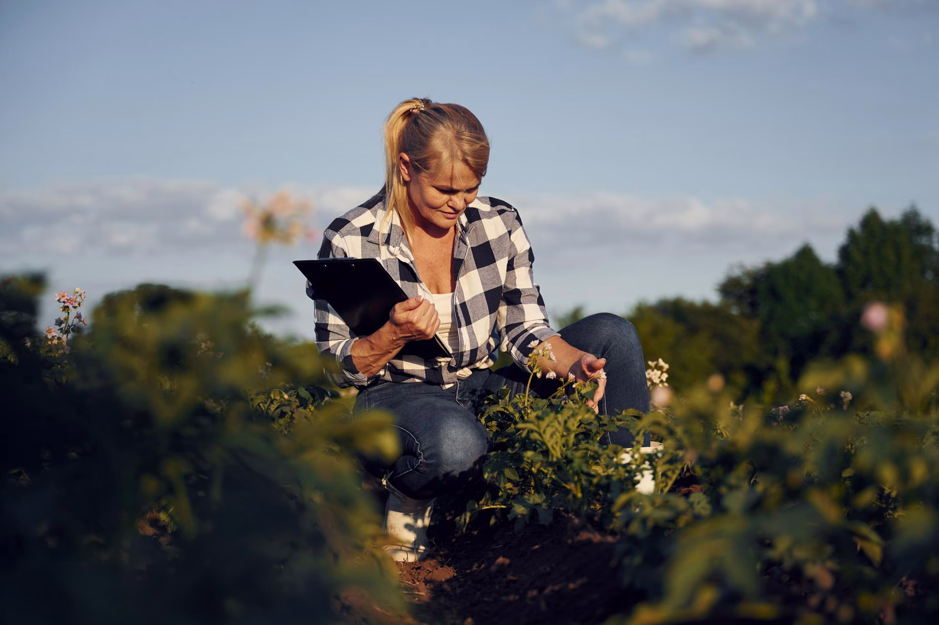 Suministros Agrícolas - Agustín López de Coca - Asesoramiento Agrícola y Análisis 1