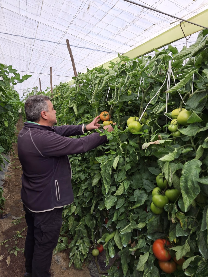 Suministros Agrícolas - Agustín López de Coca - Nosotros 7