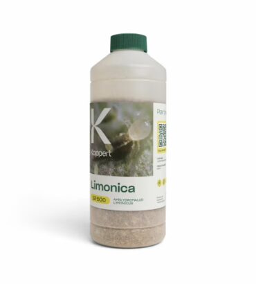 Limonica  (Amblydromalus limonicus)