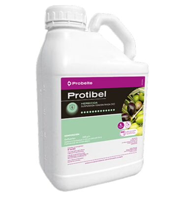 Protibel