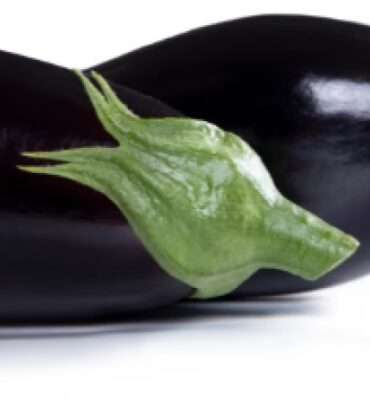 Guante Tomás Bodero con palma de poliuretano (500G2P URETAN)