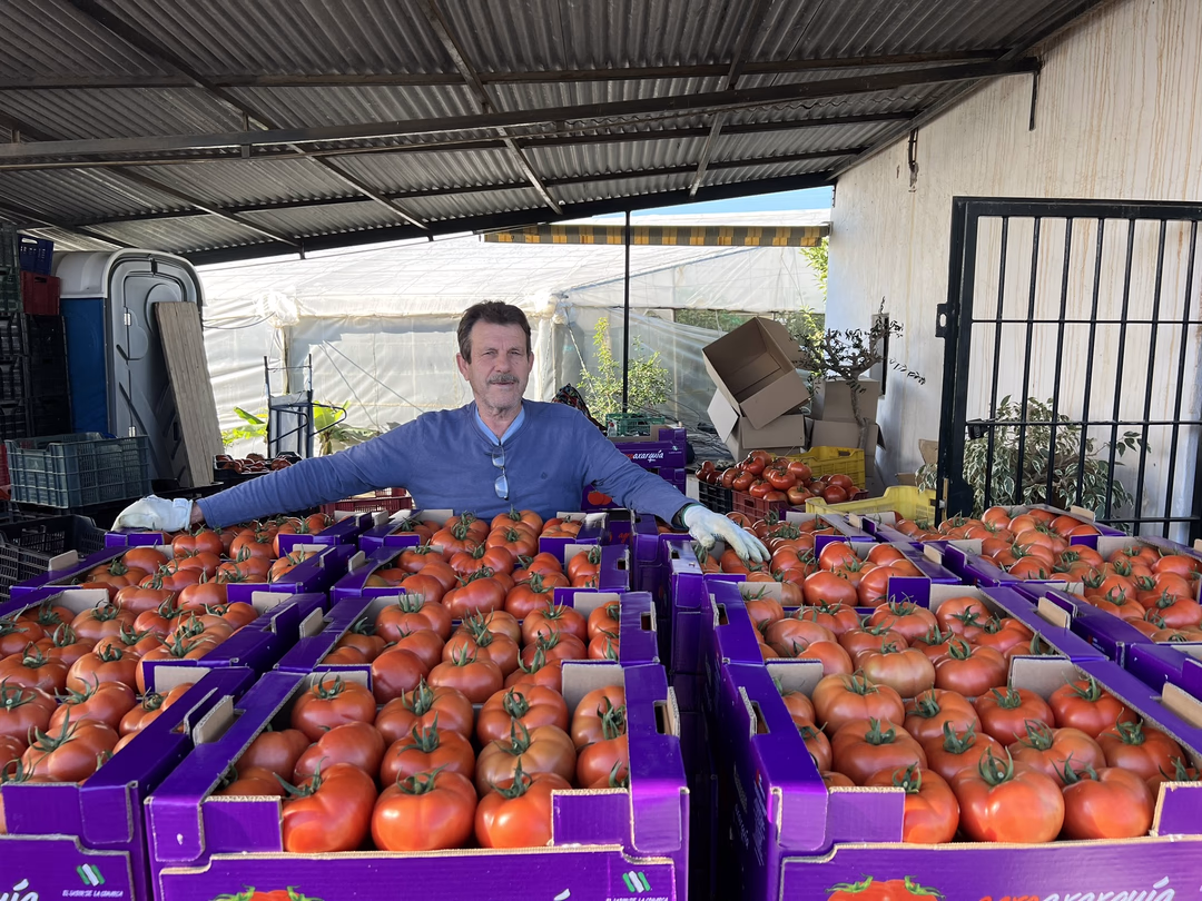 Suministros Agrícolas - Agustín López de Coca - Asesoramiento Agrícola y Análisis 3