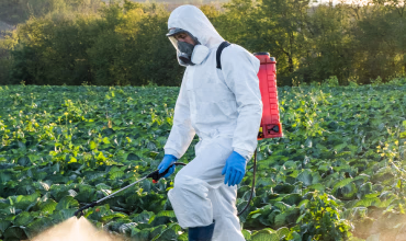 Suministros Agrícolas - Agustín López de Coca - Jardinería y Accesorios Agrícolas 3