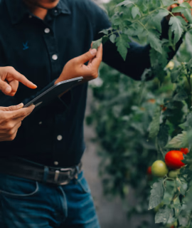 Suministros Agrícolas - Agustín López de Coca - Inicio 22 Suministros Agrícolas - Agustín López de Coca - Inicio 21