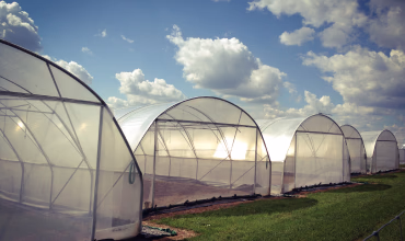 Suministros Agrícolas - Agustín López de Coca - Material para Invernaderos 3