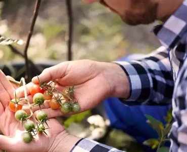 Suministros Agrícolas - Agustín López de Coca - Agronomy and relation to Other Sciences 6 Suministros Agrícolas - Agustín López de Coca - Agronomy and relation to Other Sciences 5