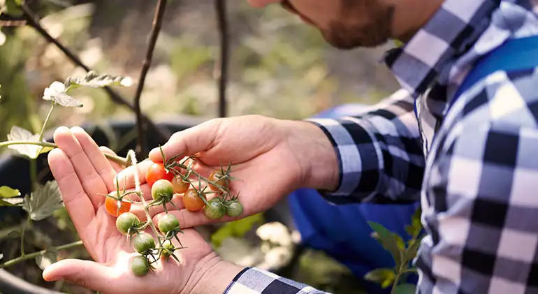 Suministros Agrícolas - Agustín López de Coca - Agronomy and relation to Other Sciences 5