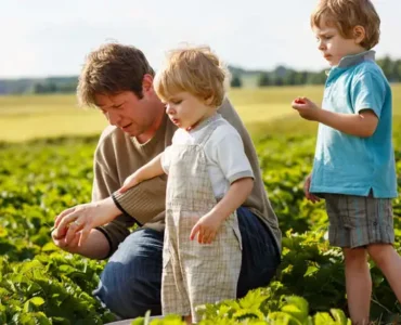 Suministros Agrícolas - Agustín López de Coca - The Future of Farming, Smart Irrigation Solutions 4 Suministros Agrícolas - Agustín López de Coca - The Future of Farming, Smart Irrigation Solutions 3