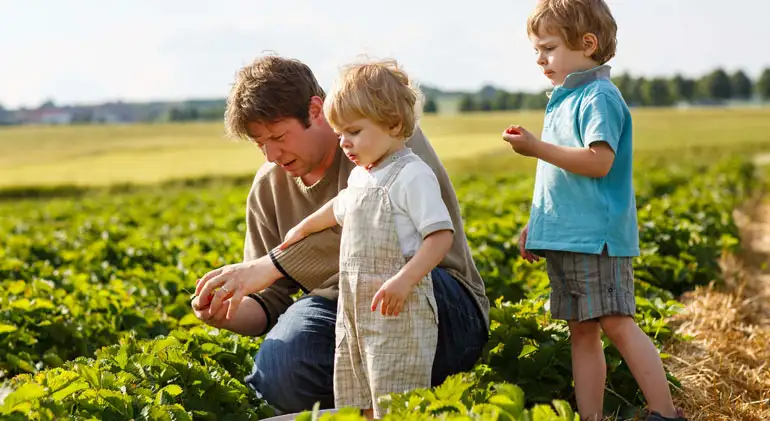 Suministros Agrícolas - Agustín López de Coca - The Future of Farming, Smart Irrigation Solutions 48