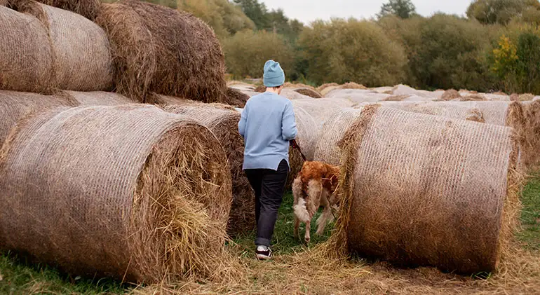 Suministros Agrícolas - Agustín López de Coca - Bringing Food Production Back To Cities 46