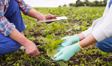 Suministros Agrícolas - Agustín López de Coca - Productos Fitosanitarios y Ecológicos 5
