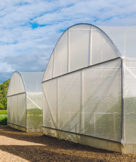 Suministros Agrícolas - Agustín López de Coca - Inicio 26 Suministros Agrícolas - Agustín López de Coca - Inicio 25