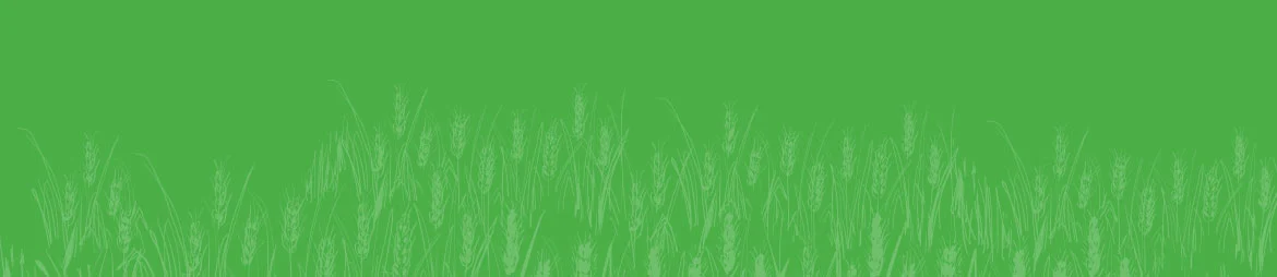 Suministros Agrícolas - Agustín López de Coca - Inicio 30 Suministros Agrícolas - Agustín López de Coca - Inicio 29